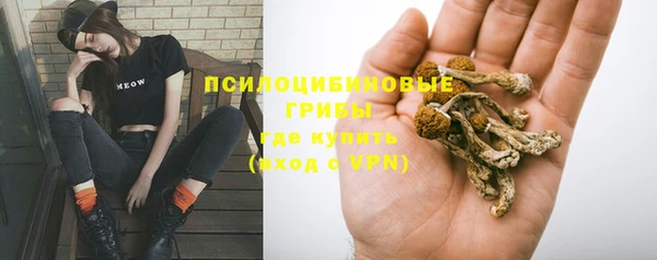 герыч Белокуриха